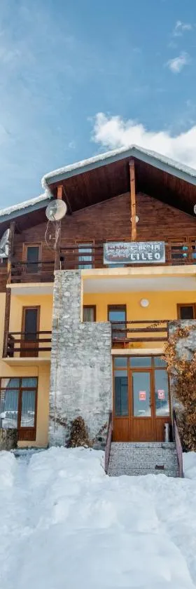 Hotel Lileo，位于梅斯蒂亚的酒店