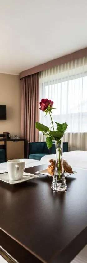 Hotel Victor Pruszków DeSilva，位于普鲁什库夫的酒店