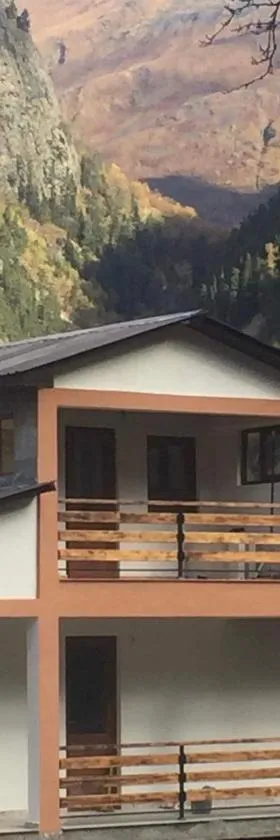 Guest House Victor，位于Zhabeshi的酒店