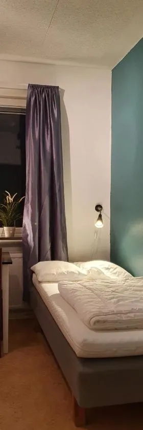 威尔瑟伦旅舍，位于Virserum的酒店