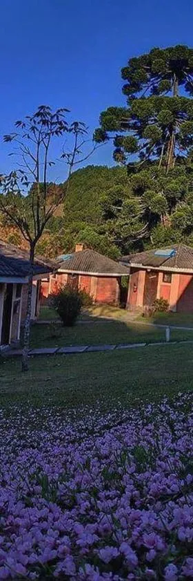 Pousada 3 Pinheiros，位于坎波斯杜若尔当的酒店