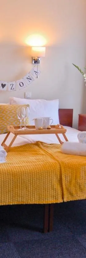 Hotel Przy Solankach，位于格鲁德柴兹的酒店