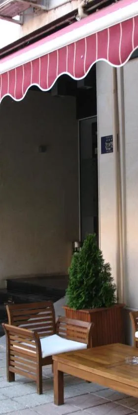 多瑙河酒店，位于维丁的酒店