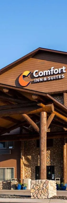 Comfort Inn & Suites，位于卡斯特的酒店