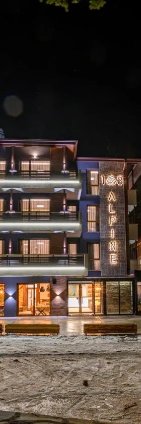 103 Alpine Hotel，位于潘尼希特的酒店