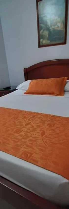 Hotel Center，位于伊瓦格的酒店