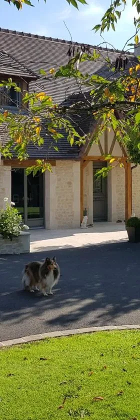 Au chant des oiseaux，位于Le Torquesne的酒店