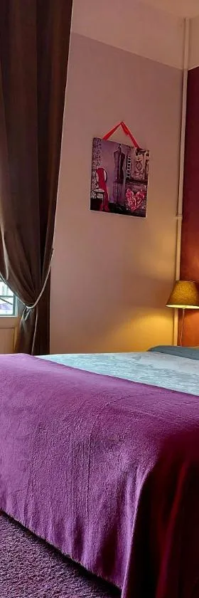 蒙迪尔酒店，位于图尔的酒店