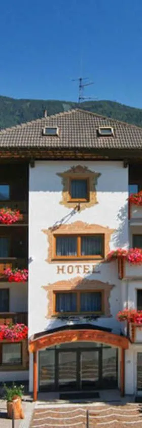 Hotel Kronplatzer Hof，位于拉松迪索帕拉的酒店