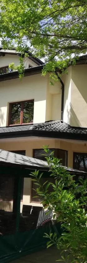 Hotel Ponti，位于维丁的酒店