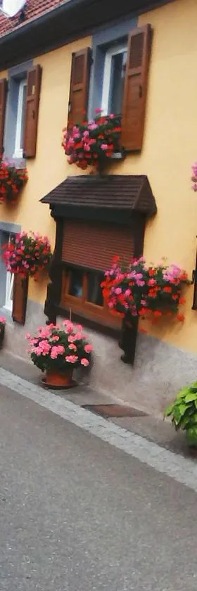 Relais de la diligence，位于Romanswiller的酒店