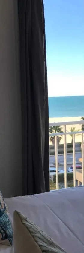 Le Regina Hôtel et restaurant Canet-plage，位于鲁西隆地区卡内的酒店