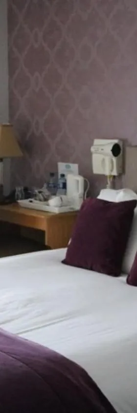 New Park Hotel Athenry，位于阿森赖的酒店