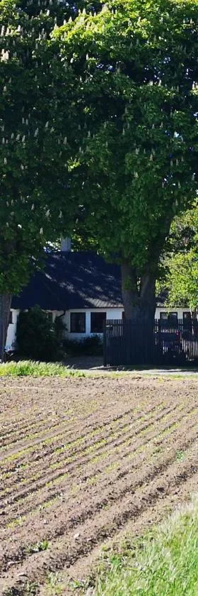 Knappagården，位于Glemminge的酒店