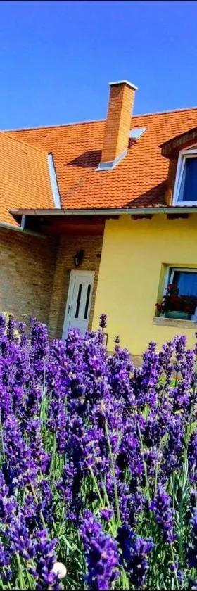 Apartments for Rent near Budapest，位于艾杰克的酒店