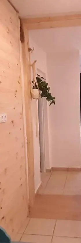 BORÓWNO WIELKIE Skarszewy Domek letniskowy - apartamenty letniskowe，位于Skarszewy的酒店