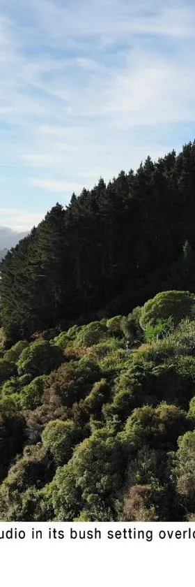 Akaroa Coastal Studio，位于阿卡罗阿的酒店