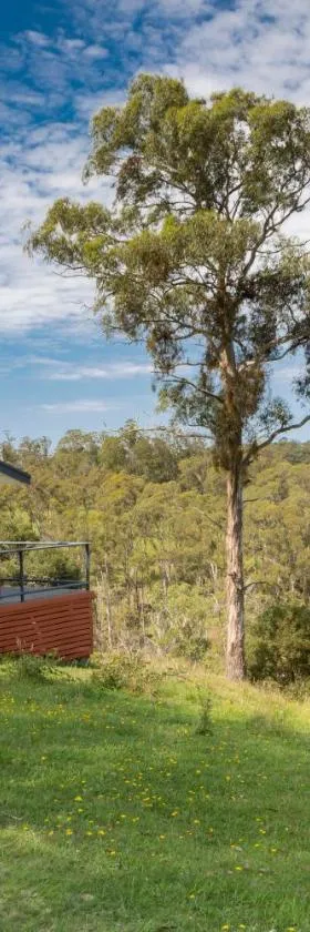 Moffat Falls Cottage overlooking waterfalls and mountains，位于Guy Fawkes的酒店