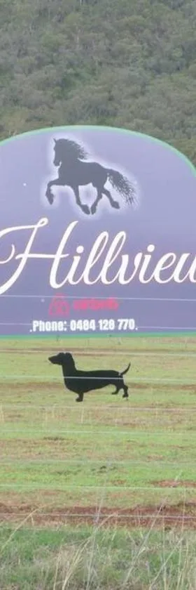 Hillview, a quiet country escape with views.，位于Yangan的酒店