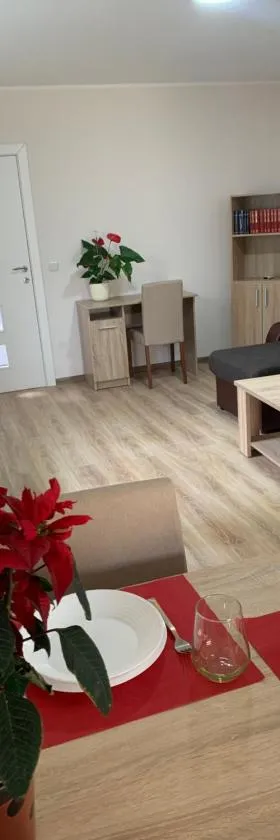 Apartman Zmaj，位于Srbobran的酒店