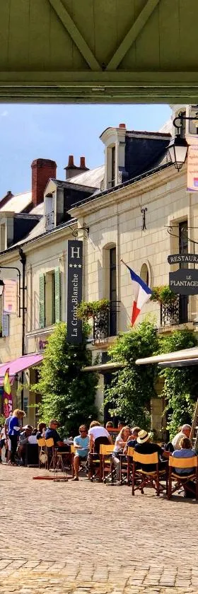 Logis Hotel La Croix Blanche Fontevraud，位于丰特夫罗拉拜的酒店