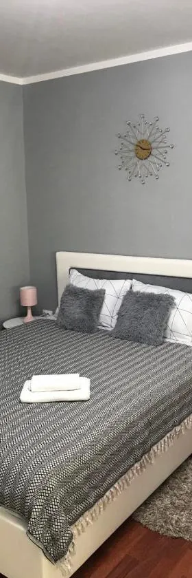 Apartman studio Pavle i Petra，位于斯雷姆斯基卡尔洛夫奇的酒店