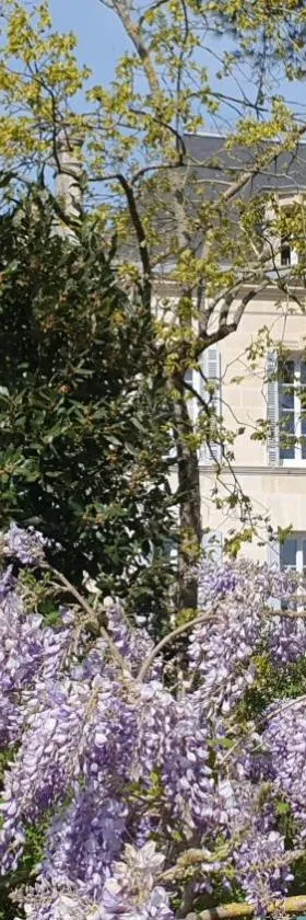 Le Logis d'Epargnes B&B and Gite，位于Épargnes的酒店