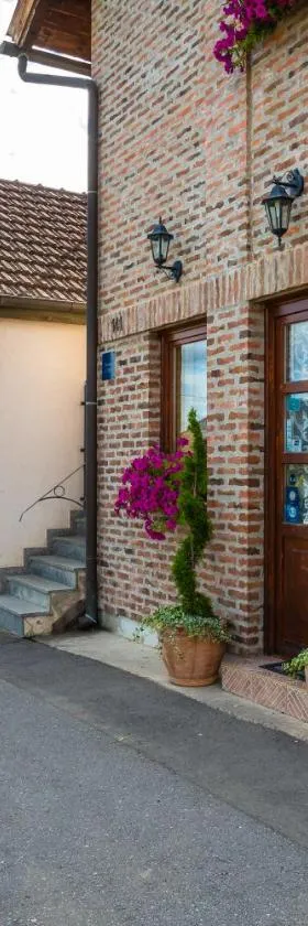 Podrumi Kolar "Suza Baranje"，位于Kneževi Vinogradi的酒店