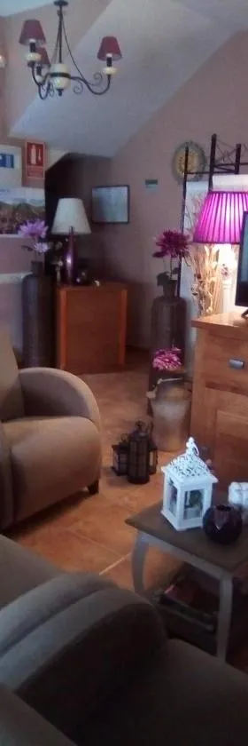 索尔德拉维加旅馆，位于阿尔巴拉辛的酒店