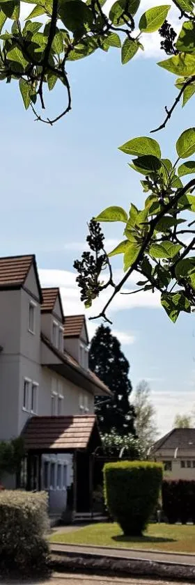 Hôtel d'Alsace，位于维桑堡的酒店