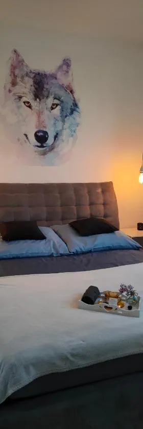Apartamenty Oleńka I - Szczytno Mazury，位于什奇特诺的酒店