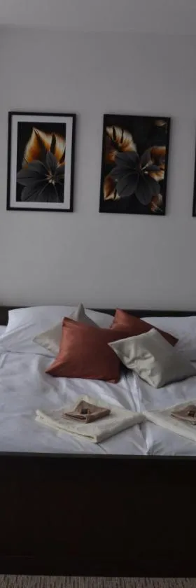 Apartament i pokoje Szalawa，位于卡利什的酒店