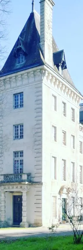 Château de Chasseneuil sur Bonnieure，位于Chasseneuil-sur-Bonnieure的酒店