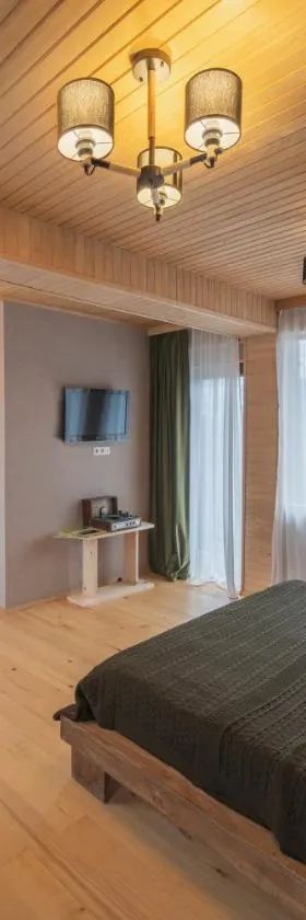 Hotel Old House Mestia，位于梅斯蒂亚的酒店