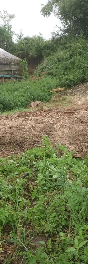 Yourte rustique en permaculture，位于Creysse的酒店