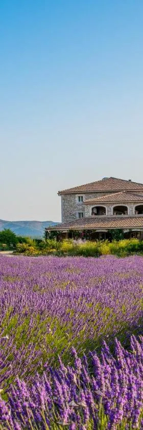Domaine du Frigoulet，位于瓦纳斯的酒店