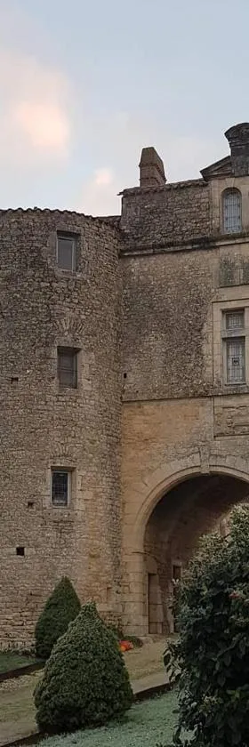 Château de la Cressonnière，位于Antigny的酒店