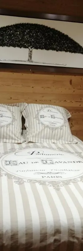 Chalet Au Pont de Flon，位于Le Cornix的酒店