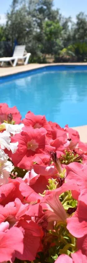 Alojamientos Rurales la Loma，位于波索阿尔孔的酒店