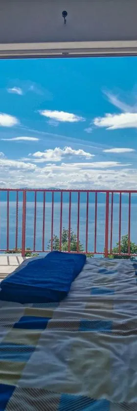 RISTESKI GUEST HOUSE，位于奥赫里德的酒店