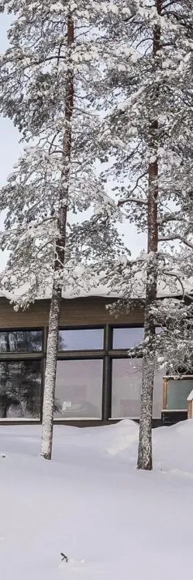 Holiday Home Villa kallas by Interhome，位于Karjalaisenniemi的酒店