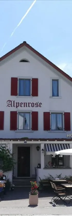 Hotel Alpenrose，位于迈恩费尔德的酒店