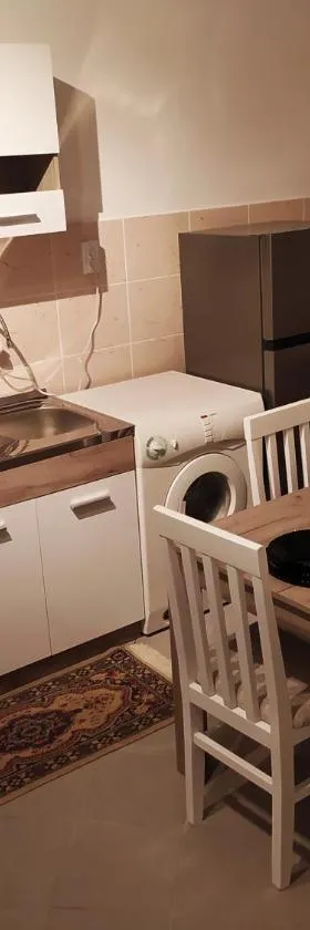Apartman Todorovic，位于雅戈丁那的酒店