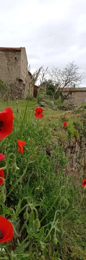 la ferme de fenivou，位于Boulieu-lès-Annonay的酒店