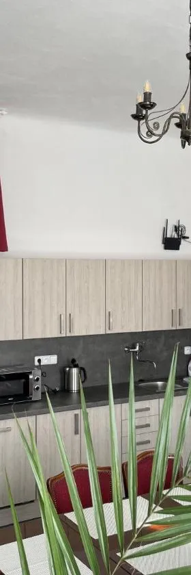Apartmán Netolice 207 Deluxe，位于Netolice的酒店