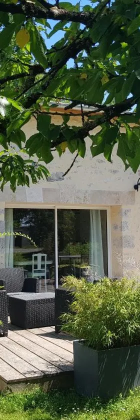 21 Les Boissières，位于Saint-Branchs的酒店