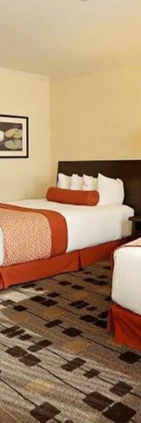 The Zen Hotel Palo Alto，位于帕罗奥多的酒店