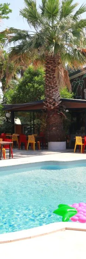 Le Banana's Hotel，位于阿莱里亚的酒店