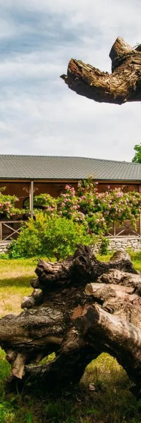 Chateau Eniseli，位于Eniseli的酒店