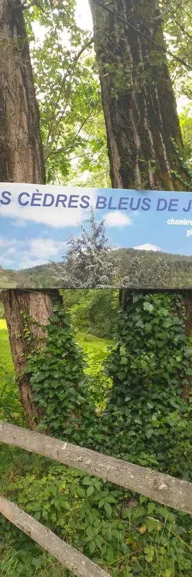 Cèdres Bleus de Joany chez Nathalie，位于Viviez的酒店
